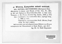 Image Associated With the Occurrence